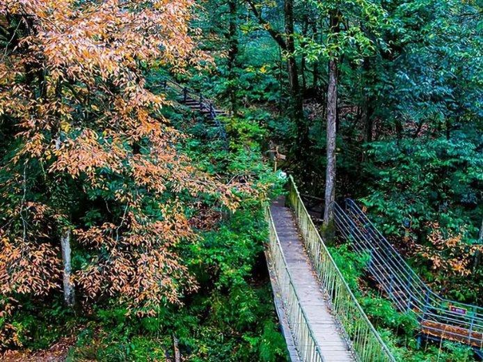 逃出塞里洛斯村