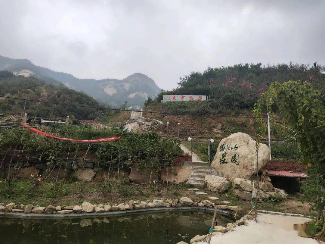 拯救精灵的土地8