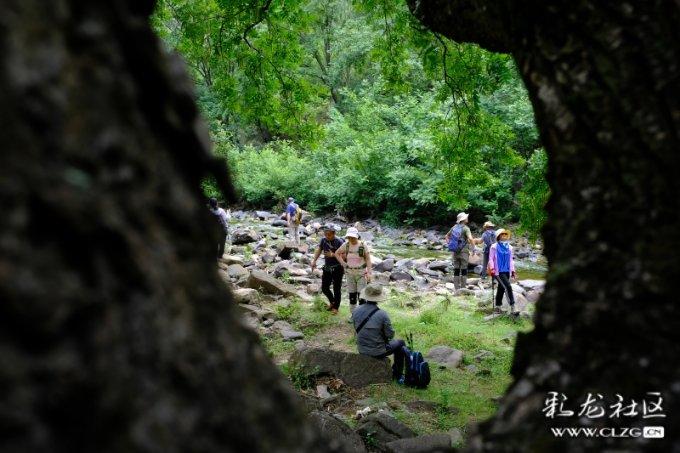 科研引领高位赋能促发展,木渎实小省/市级课题、项目成功立项