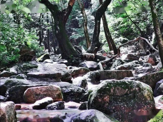 官方整活!如何在西甲赛场击败赫罗纳?chatGPT:不可能的