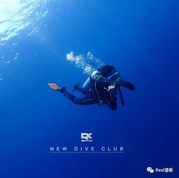 逗小猴开心系列202