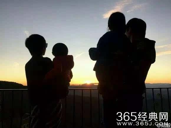 细胞分裂4