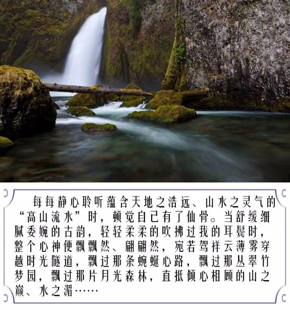渣渣辉传奇