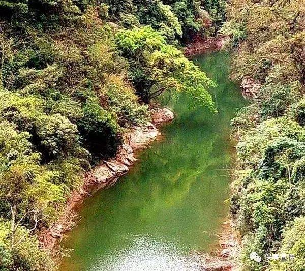 虫虫助手下载