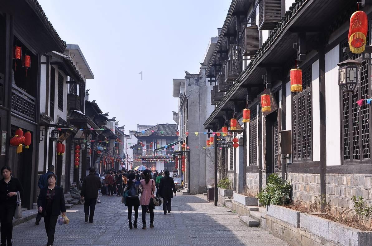 细胞分裂4