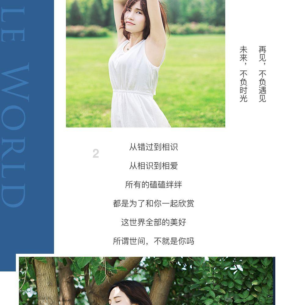道奇蝰蛇找不同